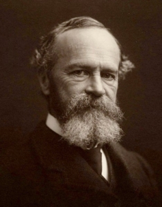 Photographic portrait of William James