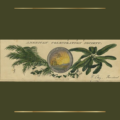 Titus Shropshire and the American Colonization Society